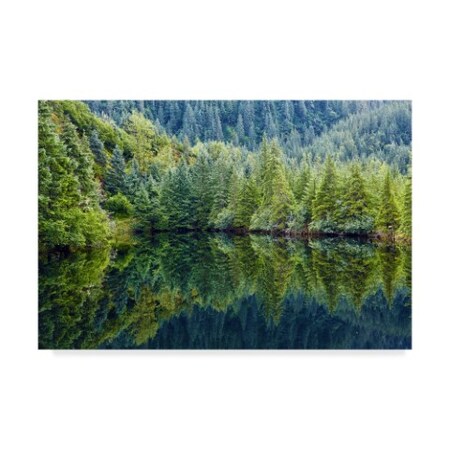 Trademark Fine Art Mitch Catanzaro 'Alaskan Reflection' Canvas Art, 22x32 MZ00424-C2232GG